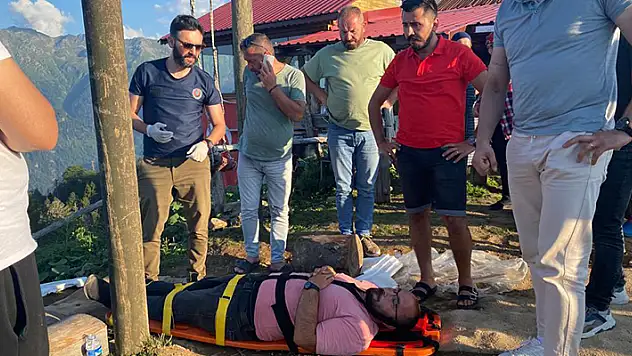 Rize'de ilginç kaza! Salıncakla ineğe çarpan turizmci yaralandı

