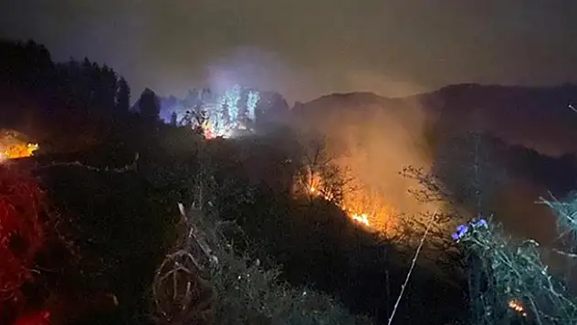 Rize'de orman yangını çıktı