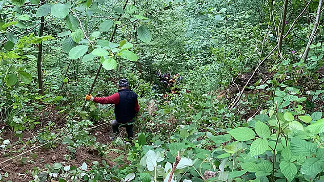 Rize'de otomobil uçuruma yuvarlandı 1 ölü 4 yaralı
