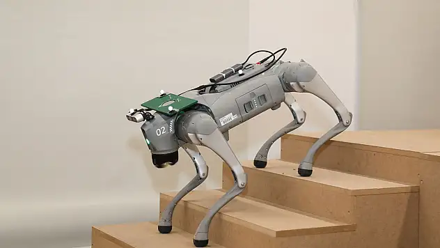 Robot köpekler sınıfa giriyor