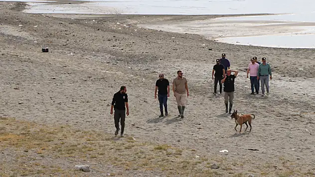Rojin'i arama çalışmalarında kadavra köpekleri de kullanılıyor
