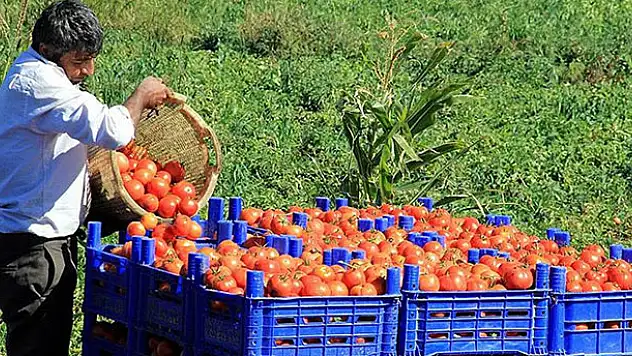 Rusya'dan sebze-meyve açıklaması