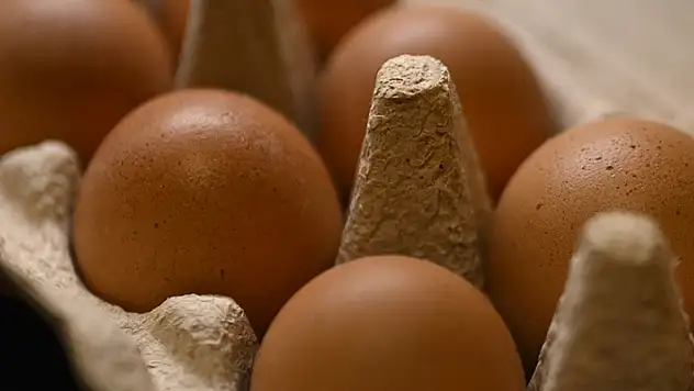 Rusya'nın Türkiye'den ithal ettiği yumurtaların sevkiyatı sürüyor
