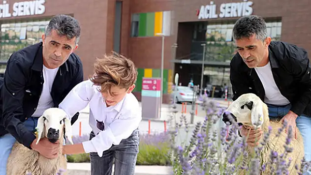 Sahibinin elinden kaçan koyun, soluğu acil serviste aldı