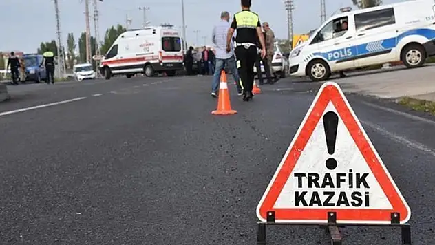 Sakarya'da ilginç kaza! Çarptığı ağaca oturup kara kara düşündü