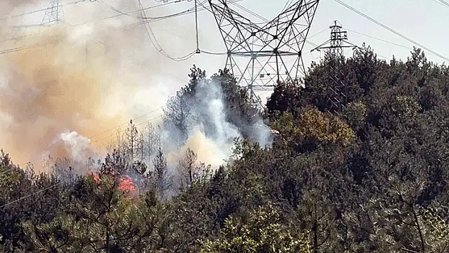 Sakarya sınırında çıkan orman yangınına müdahale sürüyor