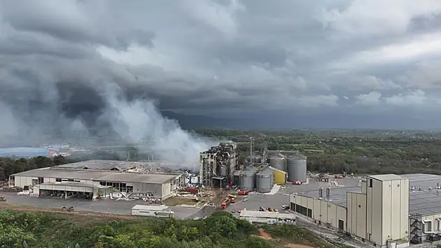 Sakarya'da 5 kişinin öldüğü makarna fabrikasındaki patlamada toz birikimi yangını büyütmüş