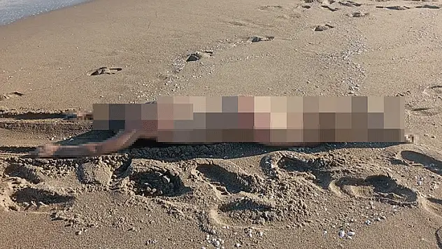 Sakarya'da sahilde çıplak erkek cesedi bulundu