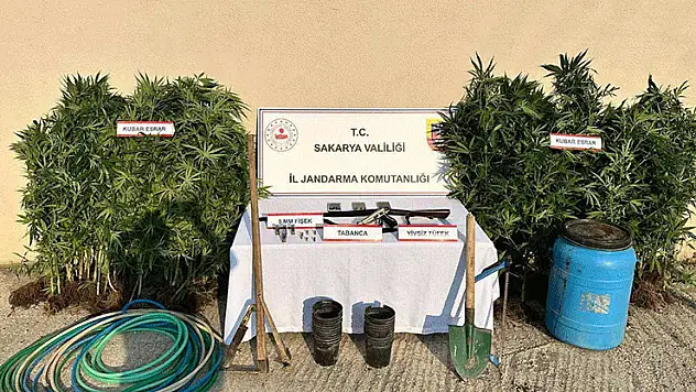 Sakarya'da uyuşturucu operasyonu: 1 tutuklama
