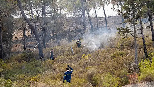 Sakız Adası'ndaki orman yangını büyük ölçüde kontrol altına alındı
