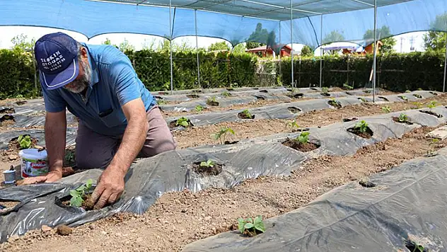 Salgın sürecinin stresini Meram Belediyesi Hobi Bahçelerinde atıyorlar
