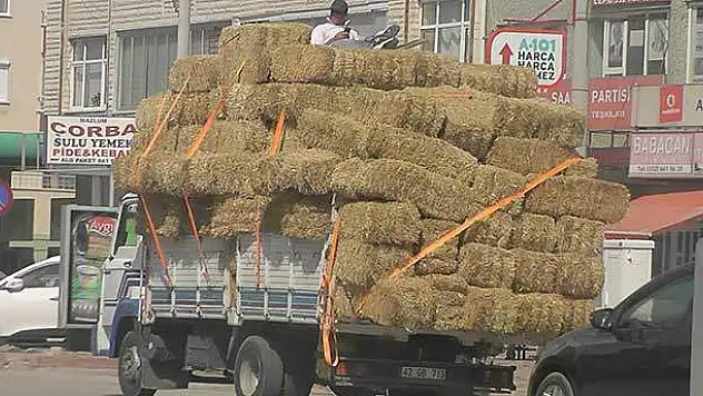 Saman balyaları üzerinde tehlikeli yolculuk