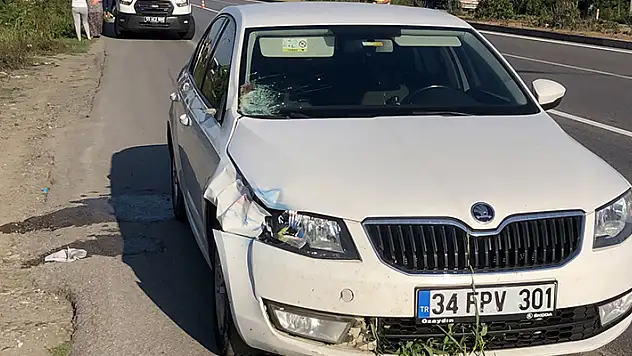 Samsun'da yoldan çıkan otomobil yayaya çarptı: 1 ölü
