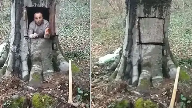 Samsun'daki şahıs koronavirüsten korunmak için 400 yıllık ağacı oydu