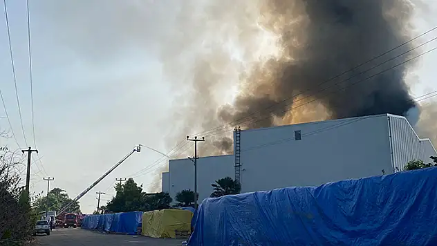 Samsun'da elyaf fabrikasında yangın yandaki işletmeye de sıçradı 
