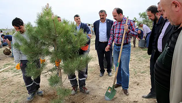 Sanayi çalışanı gençler 1071 fidanı toprakla buluşturdu