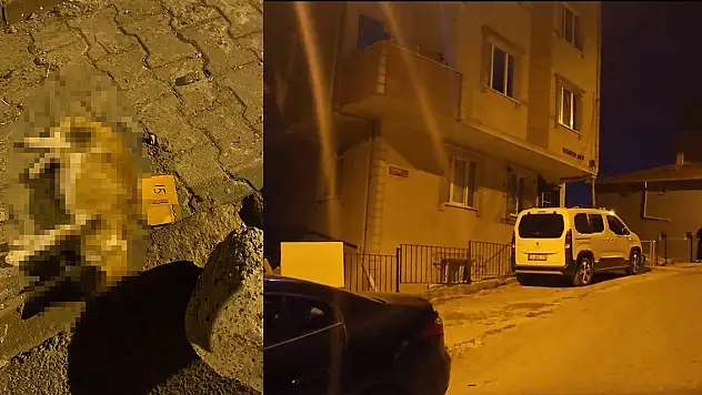 Sancaktepe'de alacak verecek kavgasında kurşunlar ev ve araçlara isabet etti kedi öldü