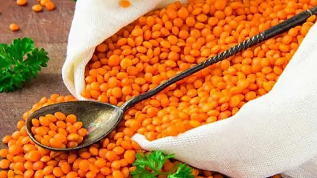 Şanlıbey kırmızı mercimek çeşidine ait tohumluk üretim ve pazarlama hakkı satılacak
