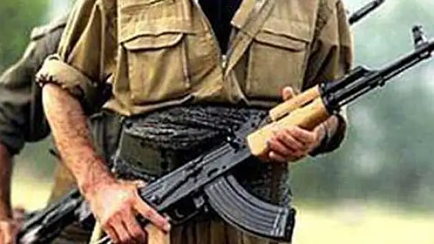 Şanlıurfa'da 1 terörist teslim oldu
