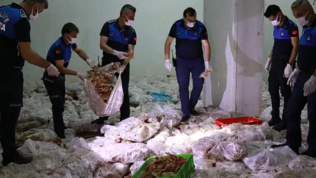 Şanlıurfa'da 10 ton tavuk ele geçirildi
