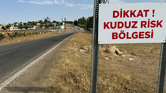 Şanlıurfa'da 2 mahalle kuduz nedeniyle karantinada
