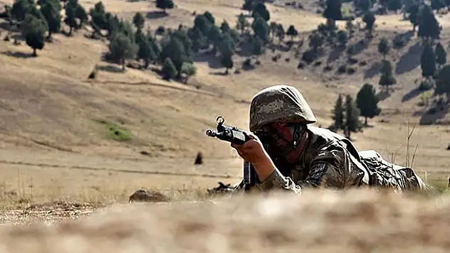 Şanlıurfa'da bir terörist yakalandı