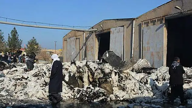 Şanlıurfa'da çırçır fabrikasında yangın