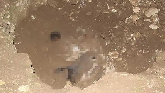 Şanlıurfa'da iki ceset bulundu