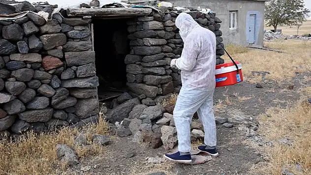 Şanlıurfa'da mahalleye kuduz karantinası
