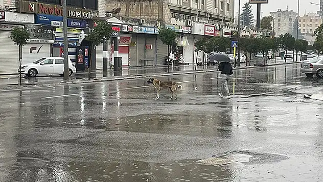 Şanlıurfa'da sağanak nedeniyle eğitime ara verildi
