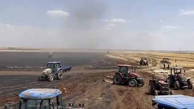 Şanlıurfa'da ekili arazide çıkan yangında 60 dönüm buğday kül oldu
