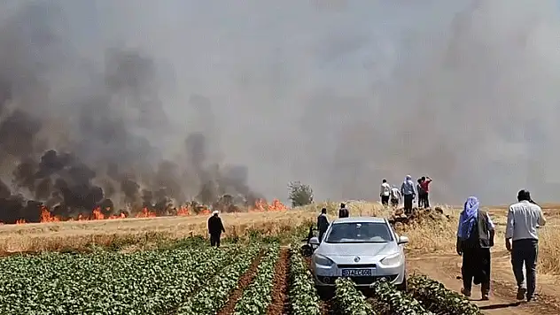 Şanlıurfa'da tarla yangını: 1'i ağır 5 yaralı