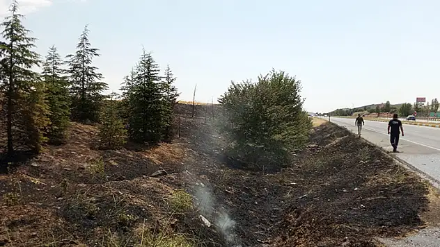 Sarayönü'nde çıkan yangında ağaçlar zarar gördü