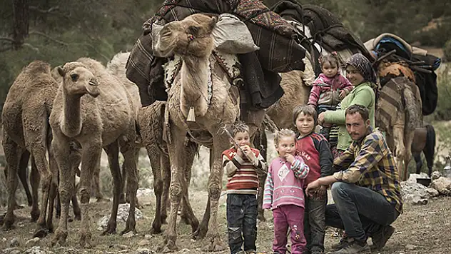 Sarıkeçili yörüklerinin son 'develi' konargöçerleri
