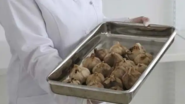 Sarımsağı siyaha dönüştürüp kilogramını 150 liradan satıyor