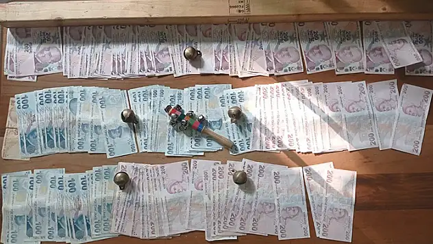 Sarıyer'de bahisle köpek dövüştürenlere baskın: 25 gözaltı

