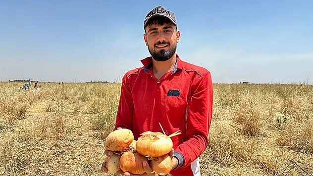 Satamadığı soğanı hayrına dağıttı, yüzlerce kişi tarlaya akın etti
