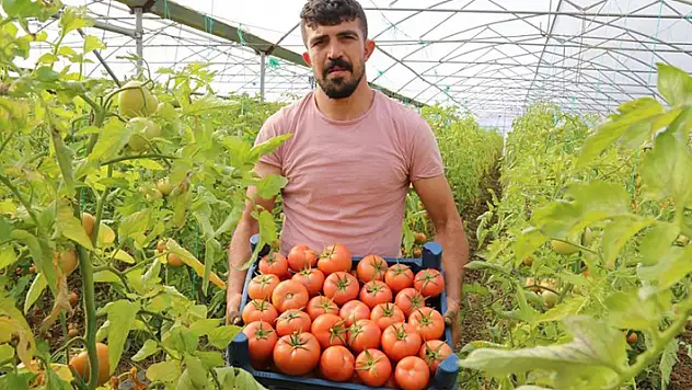 Şehir hayatını bırakan Konyalı,  köyüne dönüp sera kurdu