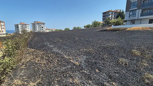 Şehir içindeki 30 dönümlük buğday tarlası alevlere teslim oldu