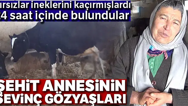 Şehit annesi ineklerine kavuştu, sevinç gözyaşları döktü