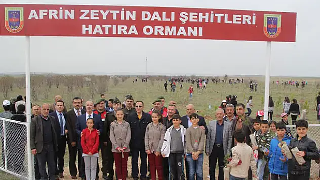 Şehitlerimiz için 500 fidan dikildi