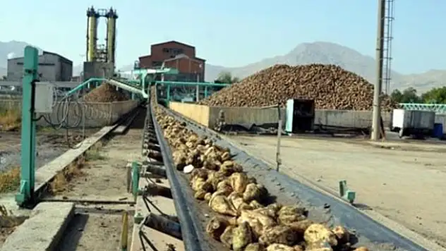 Şeker fabrikalarının arsaları da satılıyor