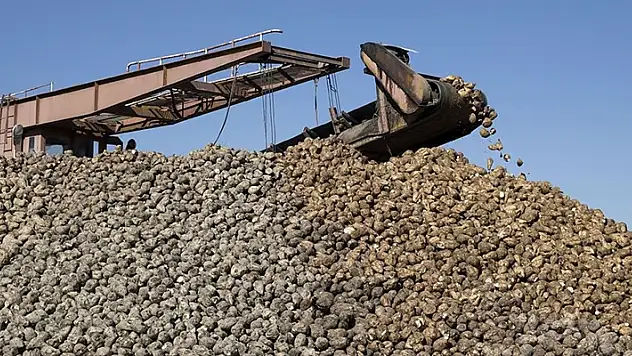 Şeker üretimi ülke ihtiyacını karşılayacak seviyede
