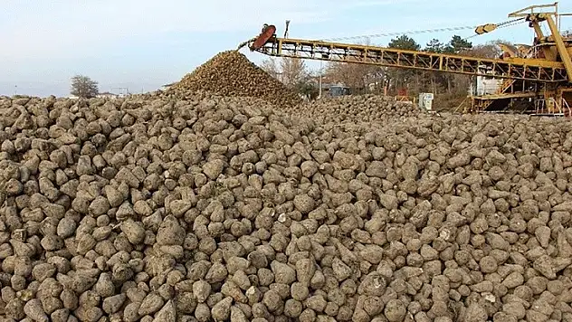 Şekerpancarı alım fiyatı açıklandı