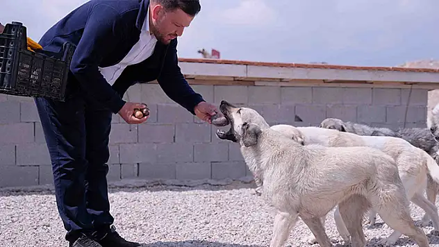 Selçuk Üniversitesi Veterinerlik Fakültesi öğrencisi, atık yemeklerden köpek maması üretti

