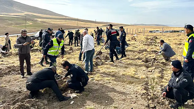 Selçuk Üniversitesinde 1867 fidan toprakla buluşturuldu
