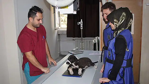 Selçuk Üniversitesinden Avrupa standartlarında ikinci hayvan hastanesi