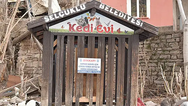 Selçuklu Belediyesi sokak hayvanlarını unutmadı