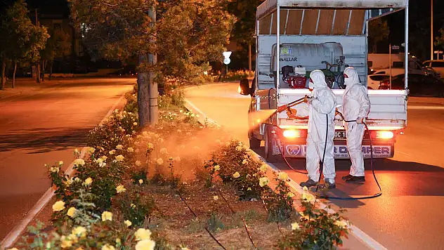 Selçuklu Belediyesinin ilaçlama mesaisi sürüyor