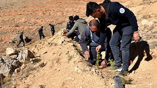 Selçuklu'da 17 bin yeni fidan toprakla buluştu